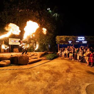 Night Safari Singapore
