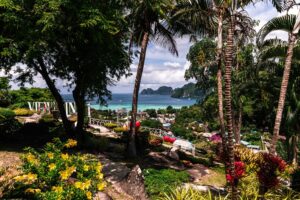 Phi Phi Island Tour