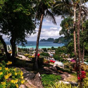 Phi Phi Island Tour