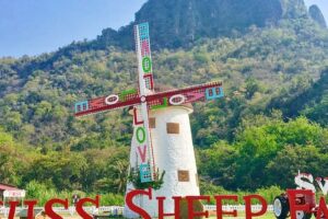 Swiss Sheep Farm