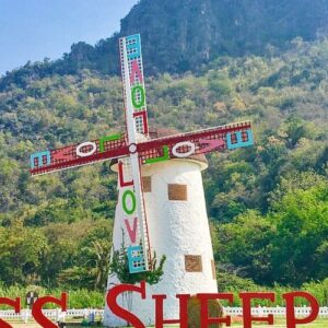 Swiss Sheep Farm